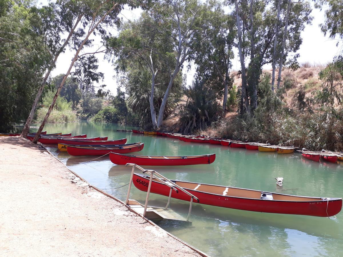 بيت شباب ديفيد طبريا المظهر الخارجي الصورة